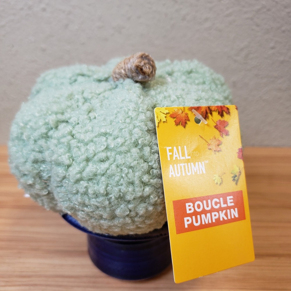 Fall Autumn Boucle Pumpkin Decor Sage Green Thanksgiving Cute Fuzzy Decorative